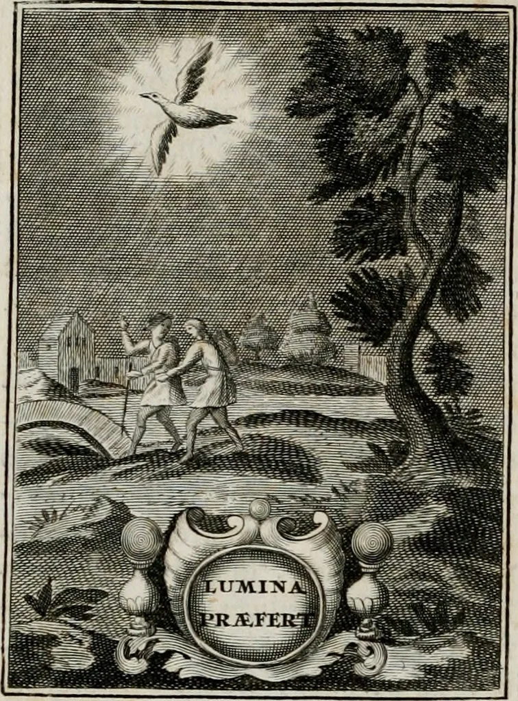 An illustration from Conceptvs chronographicvs de concepta sacra Deipara : Septingentis Sacrae Scripturae, ss. patrum, ac rationum, nec non historiarum, symbolorum, antiquitatum, et anagrammatum suffragiis roboratus : ac totidem praefixis chronographicis, annum currentem prodentibus copiose instructus : occasione saeculi, hoc eodem anno septima vice absoluti, et celebrati, a patribus Benedictinis liberi, ac imperialis monasterii ad SS. Udalricum, & Afram, Augustae Vindelicorum, 1712, leaf 201