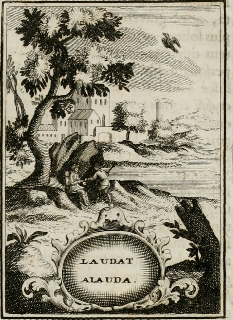 An illustration from Conceptvs chronographicvs de concepta sacra Deipara : Septingentis Sacrae Scripturae, ss. patrum, ac rationum, nec non historiarum, symbolorum, antiquitatum, et anagrammatum suffragiis roboratus : ac totidem praefixis chronographicis, annum currentem prodentibus copiose instructus : occasione saeculi, hoc eodem anno septima vice absoluti, et celebrati, a patribus Benedictinis liberi, ac imperialis monasterii ad SS. Udalricum, & Afram, Augustae Vindelicorum, 1712, leaf 228