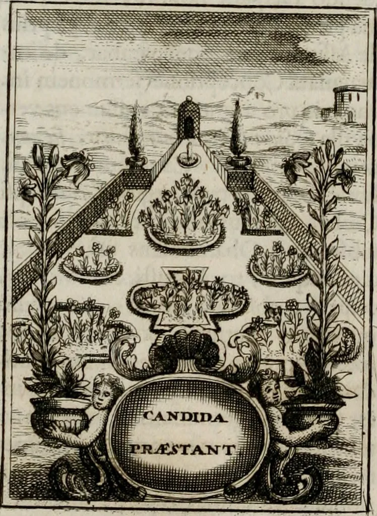 An illustration from Conceptvs chronographicvs de concepta sacra Deipara : Septingentis Sacrae Scripturae, ss. patrum, ac rationum, nec non historiarum, symbolorum, antiquitatum, et anagrammatum suffragiis roboratus : ac totidem praefixis chronographicis, annum currentem prodentibus copiose instructus : occasione saeculi, hoc eodem anno septima vice absoluti, et celebrati, a patribus Benedictinis liberi, ac imperialis monasterii ad SS. Udalricum, & Afram, Augustae Vindelicorum, 1712, leaf 261