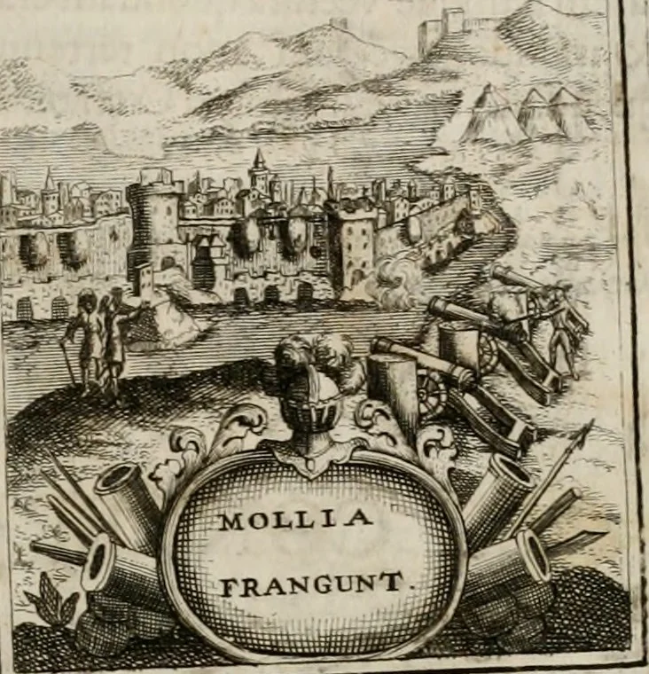 An illustration from Conceptvs chronographicvs de concepta sacra Deipara : Septingentis Sacrae Scripturae, ss. patrum, ac rationum, nec non historiarum, symbolorum, antiquitatum, et anagrammatum suffragiis roboratus : ac totidem praefixis chronographicis, annum currentem prodentibus copiose instructus : occasione saeculi, hoc eodem anno septima vice absoluti, et celebrati, a patribus Benedictinis liberi, ac imperialis monasterii ad SS. Udalricum, & Afram, Augustae Vindelicorum, 1712, leaf 264