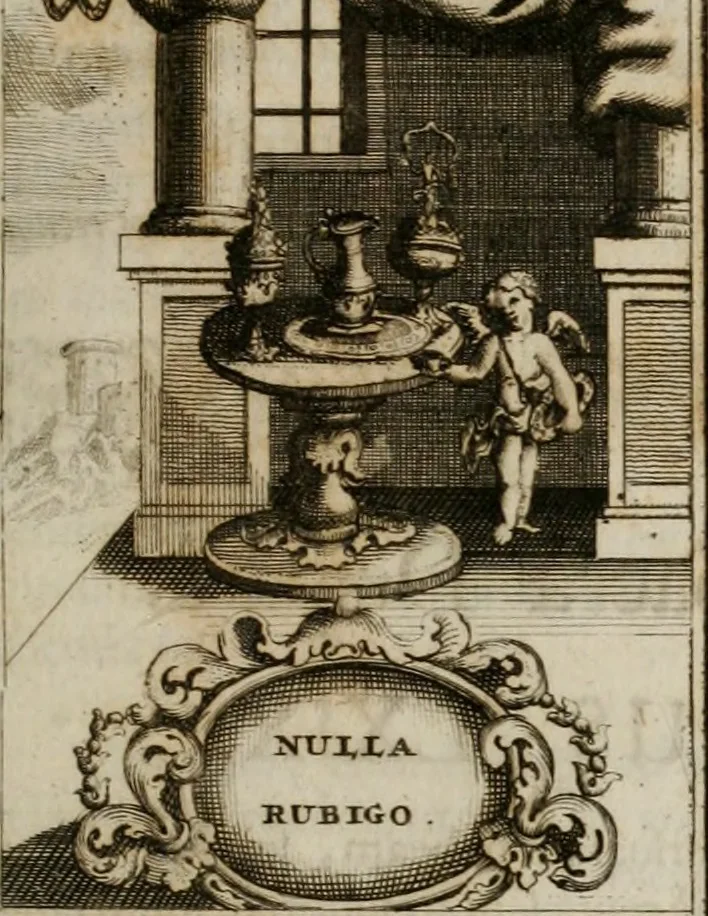 An illustration from Conceptvs chronographicvs de concepta sacra Deipara : Septingentis Sacrae Scripturae, ss. patrum, ac rationum, nec non historiarum, symbolorum, antiquitatum, et anagrammatum suffragiis roboratus : ac totidem praefixis chronographicis, annum currentem prodentibus copiose instructus : occasione saeculi, hoc eodem anno septima vice absoluti, et celebrati, a patribus Benedictinis liberi, ac imperialis monasterii ad SS. Udalricum, & Afram, Augustae Vindelicorum, 1712, leaf 268