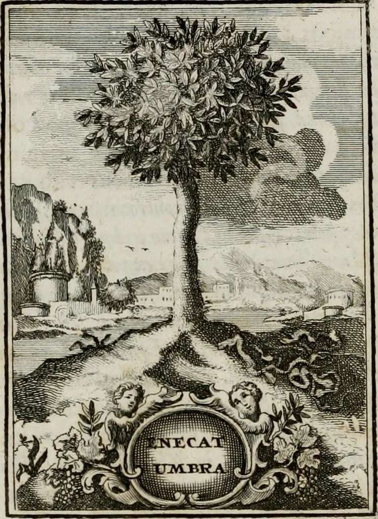An illustration from Conceptvs chronographicvs de concepta sacra Deipara : Septingentis Sacrae Scripturae, ss. patrum, ac rationum, nec non historiarum, symbolorum, antiquitatum, et anagrammatum suffragiis roboratus : ac totidem praefixis chronographicis, annum currentem prodentibus copiose instructus : occasione saeculi, hoc eodem anno septima vice absoluti, et celebrati, a patribus Benedictinis liberi, ac imperialis monasterii ad SS. Udalricum, & Afram, Augustae Vindelicorum, 1712, leaf 311