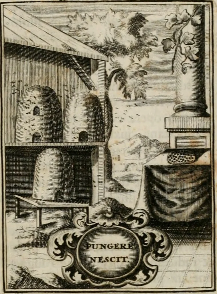 An illustration from Conceptvs chronographicvs de concepta sacra Deipara : Septingentis Sacrae Scripturae, ss. patrum, ac rationum, nec non historiarum, symbolorum, antiquitatum, et anagrammatum suffragiis roboratus : ac totidem praefixis chronographicis, annum currentem prodentibus copiose instructus : occasione saeculi, hoc eodem anno septima vice absoluti, et celebrati, a patribus Benedictinis liberi, ac imperialis monasterii ad SS. Udalricum, & Afram, Augustae Vindelicorum, 1712, leaf 322