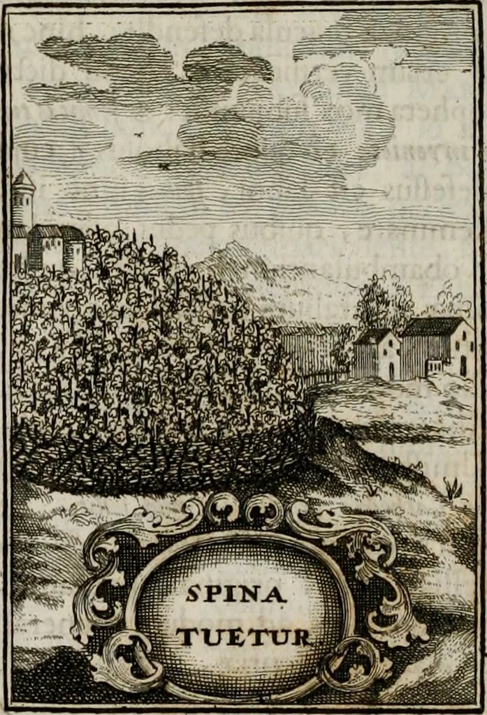 An illustration from Conceptvs chronographicvs de concepta sacra Deipara : Septingentis Sacrae Scripturae, ss. patrum, ac rationum, nec non historiarum, symbolorum, antiquitatum, et anagrammatum suffragiis roboratus : ac totidem praefixis chronographicis, annum currentem prodentibus copiose instructus : occasione saeculi, hoc eodem anno septima vice absoluti, et celebrati, a patribus Benedictinis liberi, ac imperialis monasterii ad SS. Udalricum, & Afram, Augustae Vindelicorum, 1712, leaf 333