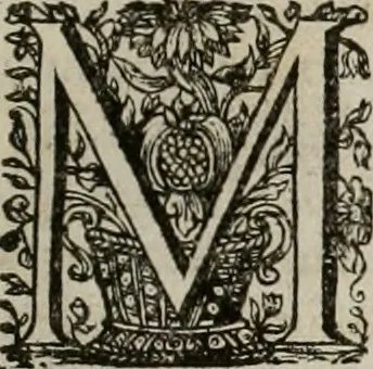 An illustration from Conceptvs chronographicvs de concepta sacra Deipara : Septingentis Sacrae Scripturae, ss. patrum, ac rationum, nec non historiarum, symbolorum, antiquitatum, et anagrammatum suffragiis roboratus : ac totidem praefixis chronographicis, annum currentem prodentibus copiose instructus : occasione saeculi, hoc eodem anno septima vice absoluti, et celebrati, a patribus Benedictinis liberi, ac imperialis monasterii ad SS. Udalricum, & Afram, Augustae Vindelicorum, 1712, leaf 36
