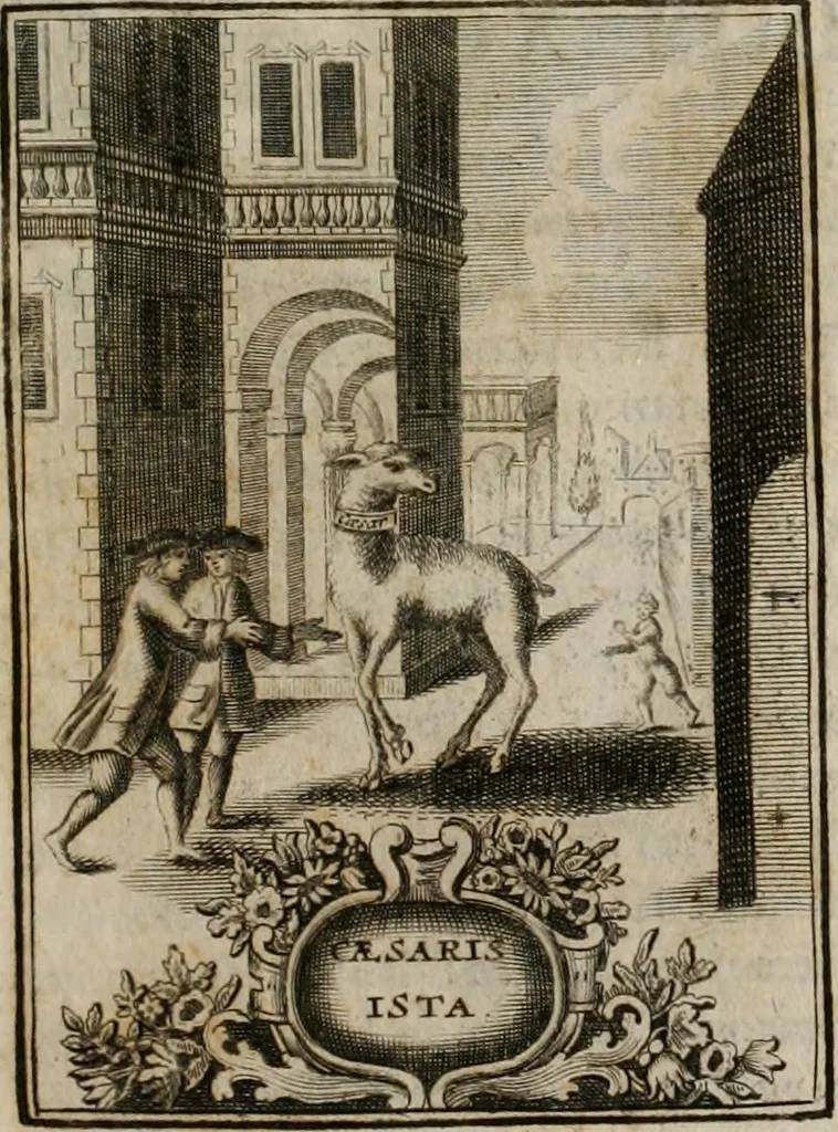 An illustration from Conceptvs chronographicvs de concepta sacra Deipara : Septingentis Sacrae Scripturae, ss. patrum, ac rationum, nec non historiarum, symbolorum, antiquitatum, et anagrammatum suffragiis roboratus : ac totidem praefixis chronographicis, annum currentem prodentibus copiose instructus : occasione saeculi, hoc eodem anno septima vice absoluti, et celebrati, a patribus Benedictinis liberi, ac imperialis monasterii ad SS. Udalricum, & Afram, Augustae Vindelicorum, 1712, leaf 364