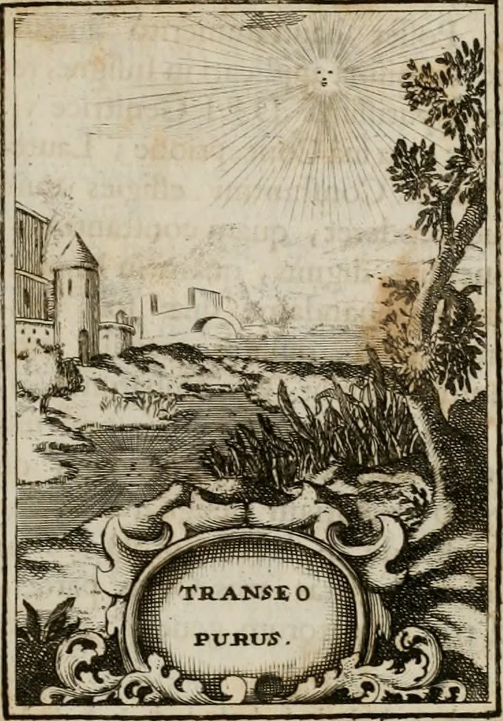 An illustration from Conceptvs chronographicvs de concepta sacra Deipara : Septingentis Sacrae Scripturae, ss. patrum, ac rationum, nec non historiarum, symbolorum, antiquitatum, et anagrammatum suffragiis roboratus : ac totidem praefixis chronographicis, annum currentem prodentibus copiose instructus : occasione saeculi, hoc eodem anno septima vice absoluti, et celebrati, a patribus Benedictinis liberi, ac imperialis monasterii ad SS. Udalricum, & Afram, Augustae Vindelicorum, 1712, leaf 368