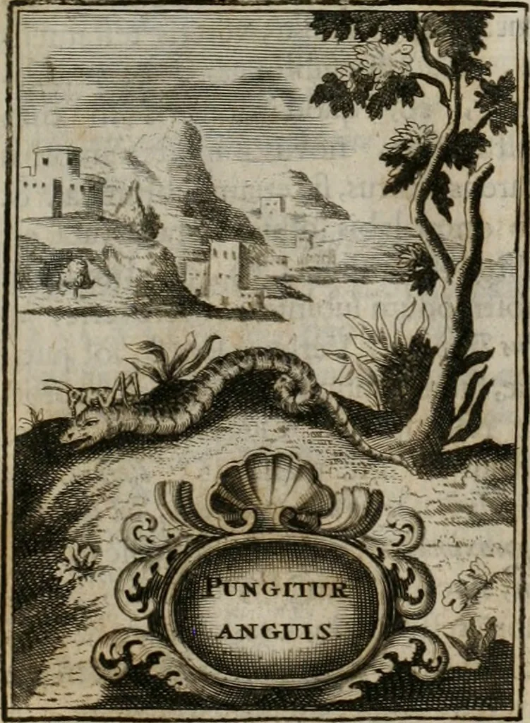 An illustration from Conceptvs chronographicvs de concepta sacra Deipara : Septingentis Sacrae Scripturae, ss. patrum, ac rationum, nec non historiarum, symbolorum, antiquitatum, et anagrammatum suffragiis roboratus : ac totidem praefixis chronographicis, annum currentem prodentibus copiose instructus : occasione saeculi, hoc eodem anno septima vice absoluti, et celebrati, a patribus Benedictinis liberi, ac imperialis monasterii ad SS. Udalricum, & Afram, Augustae Vindelicorum, 1712, leaf 50