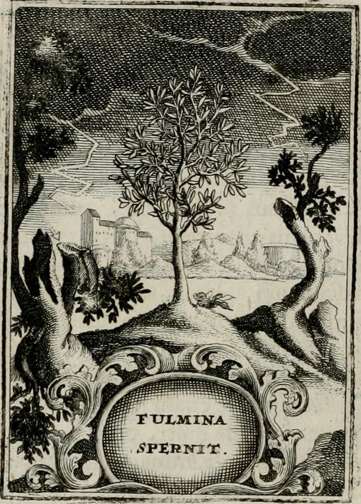 An illustration from Conceptvs chronographicvs de concepta sacra Deipara : Septingentis Sacrae Scripturae, ss. patrum, ac rationum, nec non historiarum, symbolorum, antiquitatum, et anagrammatum suffragiis roboratus : ac totidem praefixis chronographicis, annum currentem prodentibus copiose instructus : occasione saeculi, hoc eodem anno septima vice absoluti, et celebrati, a patribus Benedictinis liberi, ac imperialis monasterii ad SS. Udalricum, & Afram, Augustae Vindelicorum, 1712, leaf 67