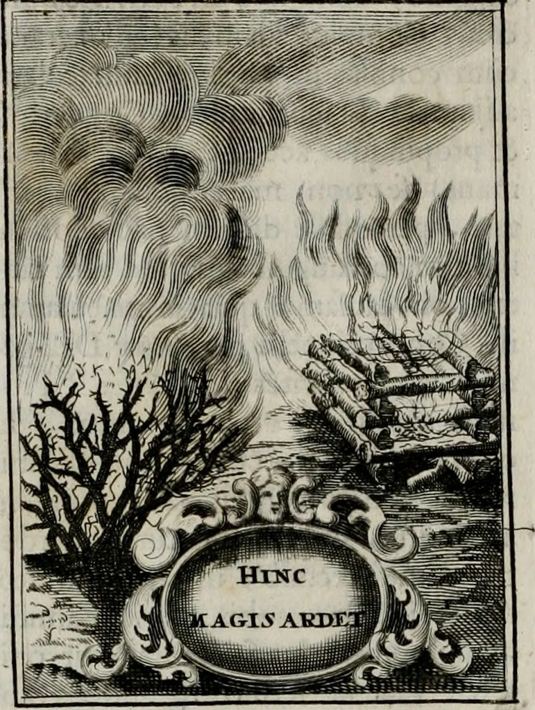 An illustration from Conceptvs chronographicvs de concepta sacra Deipara : Septingentis Sacrae Scripturae, ss. patrum, ac rationum, nec non historiarum, symbolorum, antiquitatum, et anagrammatum suffragiis roboratus : ac totidem praefixis chronographicis, annum currentem prodentibus copiose instructus : occasione saeculi, hoc eodem anno septima vice absoluti, et celebrati, a patribus Benedictinis liberi, ac imperialis monasterii ad SS. Udalricum, & Afram, Augustae Vindelicorum, 1712, leaf 71