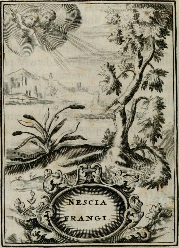 An illustration from Conceptvs chronographicvs de concepta sacra Deipara : Septingentis Sacrae Scripturae, ss. patrum, ac rationum, nec non historiarum, symbolorum, antiquitatum, et anagrammatum suffragiis roboratus : ac totidem praefixis chronographicis, annum currentem prodentibus copiose instructus : occasione saeculi, hoc eodem anno septima vice absoluti, et celebrati, a patribus Benedictinis liberi, ac imperialis monasterii ad SS. Udalricum, & Afram, Augustae Vindelicorum, 1712, leaf 87