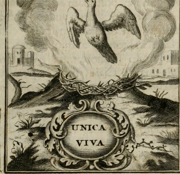 An illustration from Conceptvs chronographicvs de concepta sacra Deipara : Septingentis Sacrae Scripturae, ss. patrum, ac rationum, nec non historiarum, symbolorum, antiquitatum, et anagrammatum suffragiis roboratus : ac totidem praefixis chronographicis, annum currentem prodentibus copiose instructus : occasione saeculi, hoc eodem anno septima vice absoluti, et celebrati, a patribus Benedictinis liberi, ac imperialis monasterii ad SS. Udalricum, & Afram, Augustae Vindelicorum, 1712, leaf 94