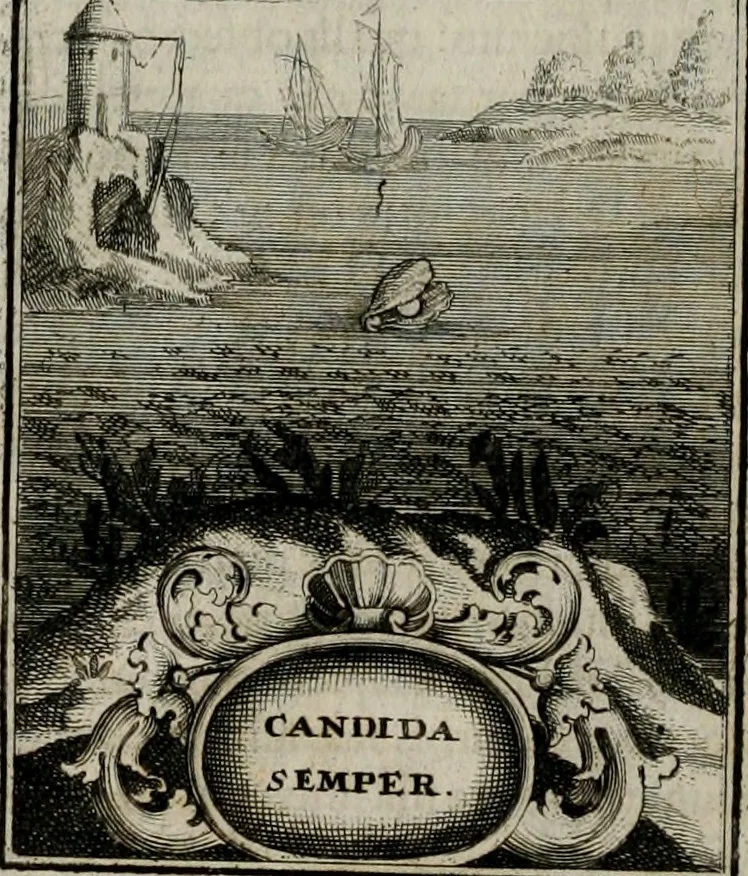 An illustration from Conceptvs chronographicvs de concepta sacra Deipara : Septingentis Sacrae Scripturae, ss. patrum, ac rationum, nec non historiarum, symbolorum, antiquitatum, et anagrammatum suffragiis roboratus : ac totidem praefixis chronographicis, annum currentem prodentibus copiose instructus : occasione saeculi, hoc eodem anno septima vice absoluti, et celebrati, a patribus Benedictinis liberi, ac imperialis monasterii ad SS. Udalricum, & Afram, Augustae Vindelicorum, 1712, leaf 97