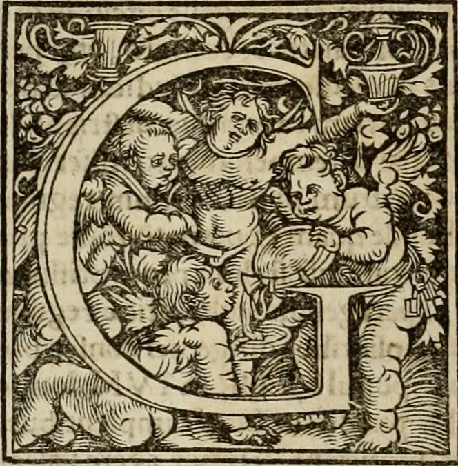 An illustration from Concilia omnia, tam generalia quam particularia : ab apostolorum temporibus in hunc vsque diem a sanctissimis patribus celebrata, & quorum acta literis mandata, ex vetustissimis diuersa[rum] regionu bibliothecis haberi potuere, his duobus tomis continentur : tomvs primvs ea recenset concilia, quae a beato Petro apostolo vsq[ue] ad Iohanne huius nominis papam secundu seruata inuenimus : quo[rum] ordinem & nomina si quis accuratius desideret, versa pagina indicabit, 1538, leaf 217