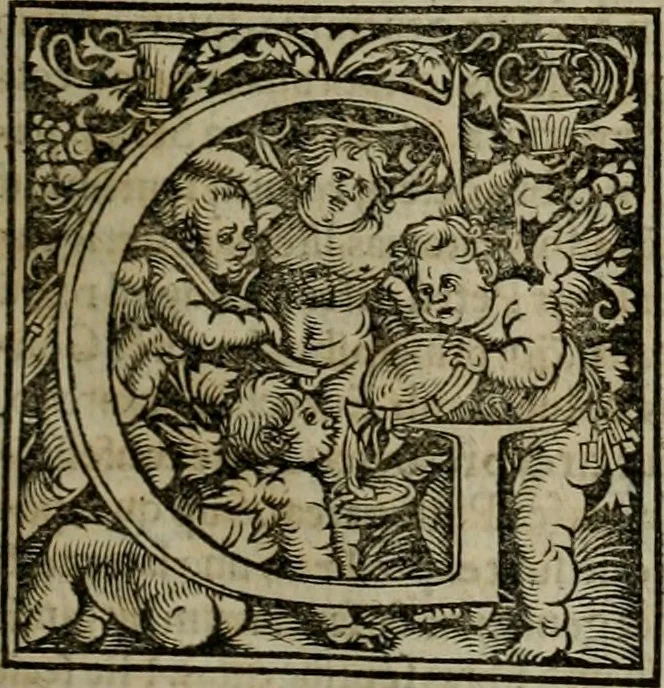 An illustration from Concilia omnia, tam generalia quam particularia : ab apostolorum temporibus in hunc vsque diem a sanctissimis patribus celebrata, & quorum acta literis mandata, ex vetustissimis diuersa[rum] regionu bibliothecis haberi potuere, his duobus tomis continentur : tomvs primvs ea recenset concilia, quae a beato Petro apostolo vsq[ue] ad Iohanne huius nominis papam secundu seruata inuenimus : quo[rum] ordinem & nomina si quis accuratius desideret, versa pagina indicabit, 1538, leaf 226