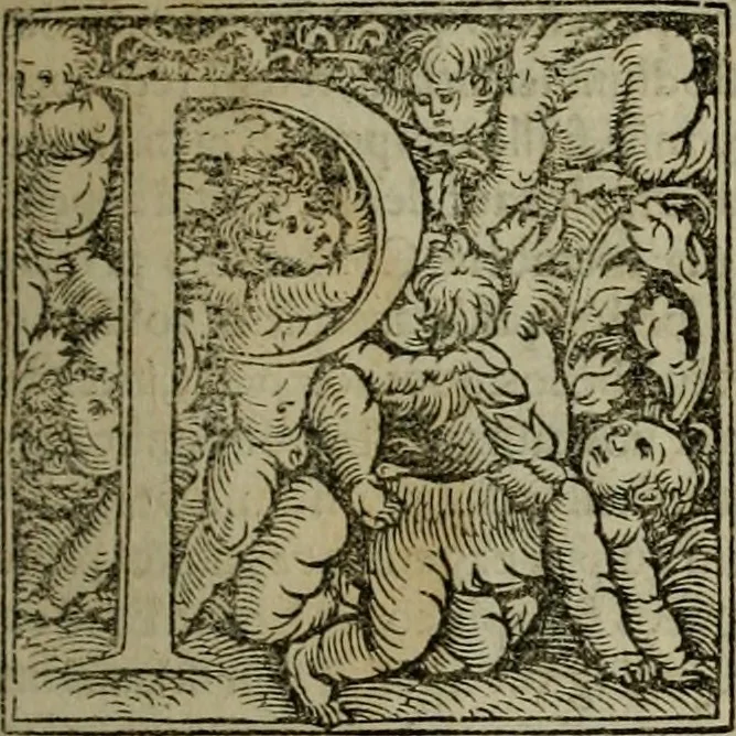 An illustration from Concilia omnia, tam generalia quam particularia : ab apostolorum temporibus in hunc vsque diem a sanctissimis patribus celebrata, & quorum acta literis mandata, ex vetustissimis diuersa[rum] regionu bibliothecis haberi potuere, his duobus tomis continentur : tomvs primvs ea recenset concilia, quae a beato Petro apostolo vsq[ue] ad Iohanne huius nominis papam secundu seruata inuenimus : quo[rum] ordinem & nomina si quis accuratius desideret, versa pagina indicabit, 1538, leaf 288