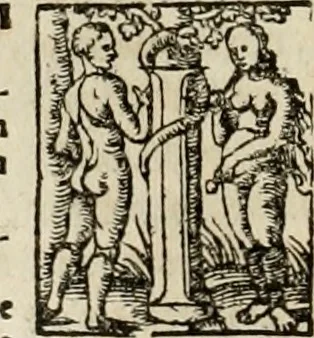 An illustration from Concilia omnia, tam generalia quam particularia : ab apostolorum temporibus in hunc vsque diem a sanctissimis patribus celebrata, & quorum acta literis mandata, ex vetustissimis diuersa[rum] regionu bibliothecis haberi potuere, his duobus tomis continentur : tomvs primvs ea recenset concilia, quae a beato Petro apostolo vsq[ue] ad Iohanne huius nominis papam secundu seruata inuenimus : quo[rum] ordinem & nomina si quis accuratius desideret, versa pagina indicabit, 1538, leaf 311