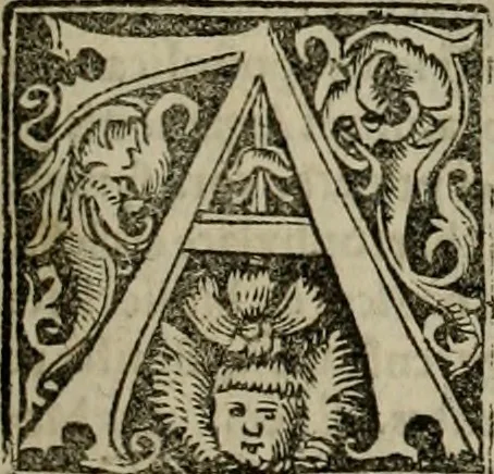 An illustration from Concilia omnia, tam generalia quam particularia : ab apostolorum temporibus in hunc vsque diem a sanctissimis patribus celebrata, & quorum acta literis mandata, ex vetustissimis diuersa[rum] regionu bibliothecis haberi potuere, his duobus tomis continentur : tomvs primvs ea recenset concilia, quae a beato Petro apostolo vsq[ue] ad Iohanne huius nominis papam secundu seruata inuenimus : quo[rum] ordinem & nomina si quis accuratius desideret, versa pagina indicabit, 1538, leaf 32