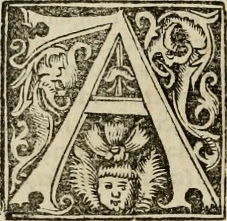 An illustration from Concilia omnia, tam generalia quam particularia : ab apostolorum temporibus in hunc vsque diem a sanctissimis patribus celebrata, & quorum acta literis mandata, ex vetustissimis diuersa[rum] regionu bibliothecis haberi potuere, his duobus tomis continentur : tomvs primvs ea recenset concilia, quae a beato Petro apostolo vsq[ue] ad Iohanne huius nominis papam secundu seruata inuenimus : quo[rum] ordinem & nomina si quis accuratius desideret, versa pagina indicabit, 1538, leaf 323