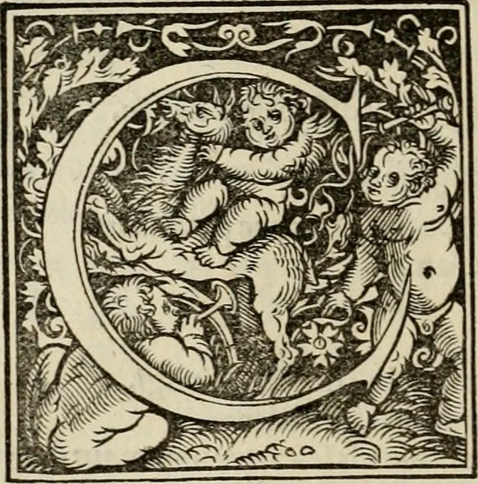An illustration from Concilia omnia, tam generalia quam particularia : ab apostolorum temporibus in hunc vsque diem a sanctissimis patribus celebrata, & quorum acta literis mandata, ex vetustissimis diuersa[rum] regionu bibliothecis haberi potuere, his duobus tomis continentur : tomvs primvs ea recenset concilia, quae a beato Petro apostolo vsq[ue] ad Iohanne huius nominis papam secundu seruata inuenimus : quo[rum] ordinem & nomina si quis accuratius desideret, versa pagina indicabit, 1538, leaf 325
