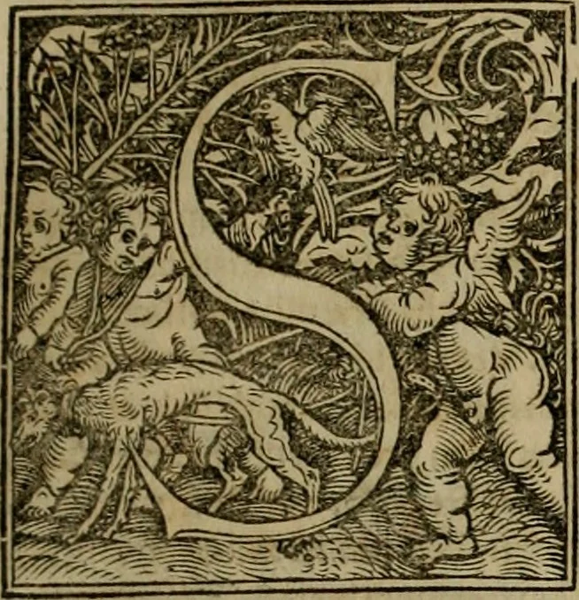 An illustration from Concilia omnia, tam generalia quam particularia : ab apostolorum temporibus in hunc vsque diem a sanctissimis patribus celebrata, & quorum acta literis mandata, ex vetustissimis diuersa[rum] regionu bibliothecis haberi potuere, his duobus tomis continentur : tomvs primvs ea recenset concilia, quae a beato Petro apostolo vsq[ue] ad Iohanne huius nominis papam secundu seruata inuenimus : quo[rum] ordinem & nomina si quis accuratius desideret, versa pagina indicabit, 1538, leaf 348