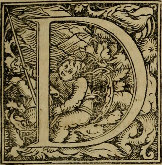 An illustration from Concilia omnia, tam generalia quam particularia : ab apostolorum temporibus in hunc vsque diem a sanctissimis patribus celebrata, & quorum acta literis mandata, ex vetustissimis diuersa[rum] regionu bibliothecis haberi potuere, his duobus tomis continentur : tomvs primvs ea recenset concilia, quae a beato Petro apostolo vsq[ue] ad Iohanne huius nominis papam secundu seruata inuenimus : quo[rum] ordinem & nomina si quis accuratius desideret, versa pagina indicabit, 1538, leaf 350