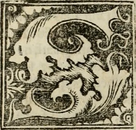 An illustration from Concilia omnia, tam generalia quam particularia : ab apostolorum temporibus in hunc vsque diem a sanctissimis patribus celebrata, & quorum acta literis mandata, ex vetustissimis diuersa[rum] regionu bibliothecis haberi potuere, his duobus tomis continentur : tomvs primvs ea recenset concilia, quae a beato Petro apostolo vsq[ue] ad Iohanne huius nominis papam secundu seruata inuenimus : quo[rum] ordinem & nomina si quis accuratius desideret, versa pagina indicabit, 1538, leaf 761