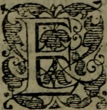 An illustration from Conciones nvptiales XL. ex Vetere Testamento, & XX. ex Nouo, Ionnis Brandmilleri. Cum prefatione in principio .., 1579, leaf 119