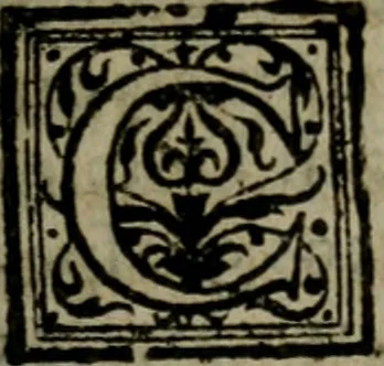 An illustration from Conciones nvptiales XL. ex Vetere Testamento, & XX. ex Nouo, Ionnis Brandmilleri. Cum prefatione in principio .., 1579, leaf 158