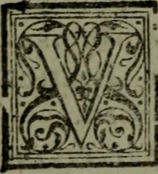 An illustration from Conciones nvptiales XL. ex Vetere Testamento, & XX. ex Nouo, Ionnis Brandmilleri. Cum prefatione in principio .., 1579, leaf 205