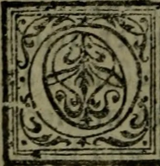 An illustration from Conciones nvptiales XL. ex Vetere Testamento, & XX. ex Nouo, Ionnis Brandmilleri. Cum prefatione in principio .., 1579, leaf 223