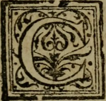 An illustration from Conciones nvptiales XL. ex Vetere Testamento, & XX. ex Nouo, Ionnis Brandmilleri. Cum prefatione in principio .., 1579, leaf 242