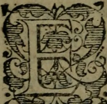 An illustration from Conciones nvptiales XL. ex Vetere Testamento, & XX. ex Nouo, Ionnis Brandmilleri. Cum prefatione in principio .., 1579, leaf 305