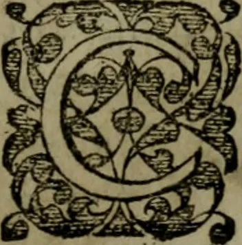 An illustration from Conciones nvptiales XL. ex Vetere Testamento, & XX. ex Nouo, Ionnis Brandmilleri. Cum prefatione in principio .., 1579, leaf 36