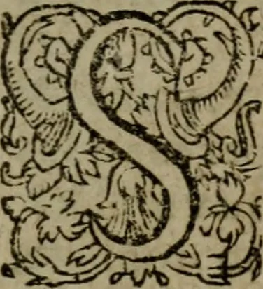 An illustration from Conciones nvptiales XL. ex Vetere Testamento, & XX. ex Nouo, Ionnis Brandmilleri. Cum prefatione in principio .., 1579, leaf 428