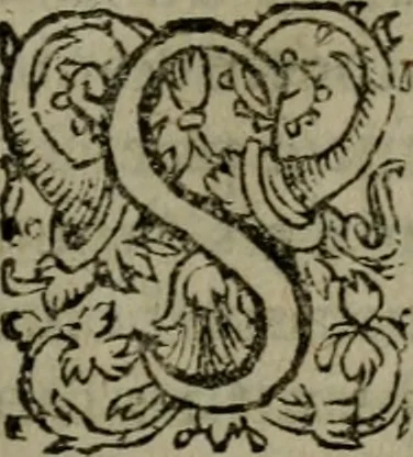 An illustration from Conciones nvptiales XL. ex Vetere Testamento, & XX. ex Nouo, Ionnis Brandmilleri. Cum prefatione in principio .., 1579, leaf 466