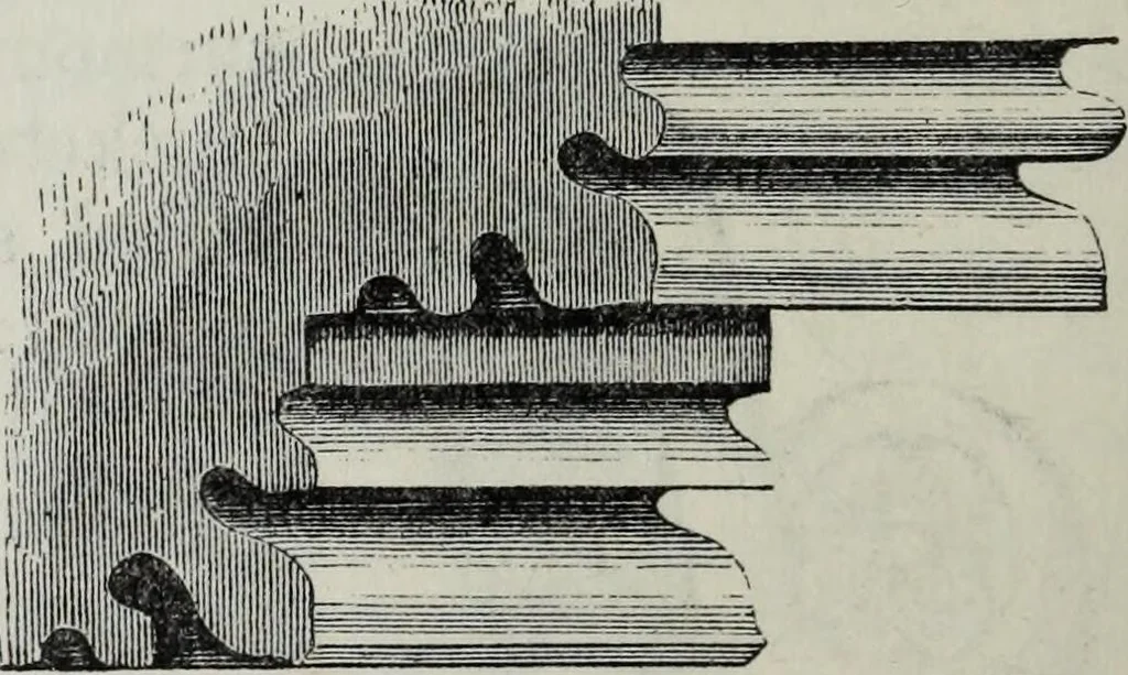 An illustration from A concise glossary of terms used in Grecian, Roman, Italian, and Gothic architecture, 1879, leaf 117