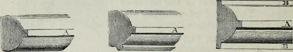 An illustration from A concise glossary of terms used in Grecian, Roman, Italian, and Gothic architecture, 1879, leaf 125