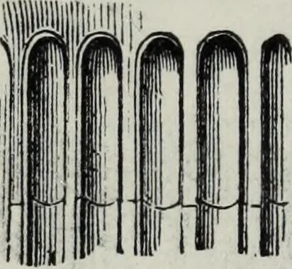 An illustration from A concise glossary of terms used in Grecian, Roman, Italian, and Gothic architecture, 1879, leaf 129
