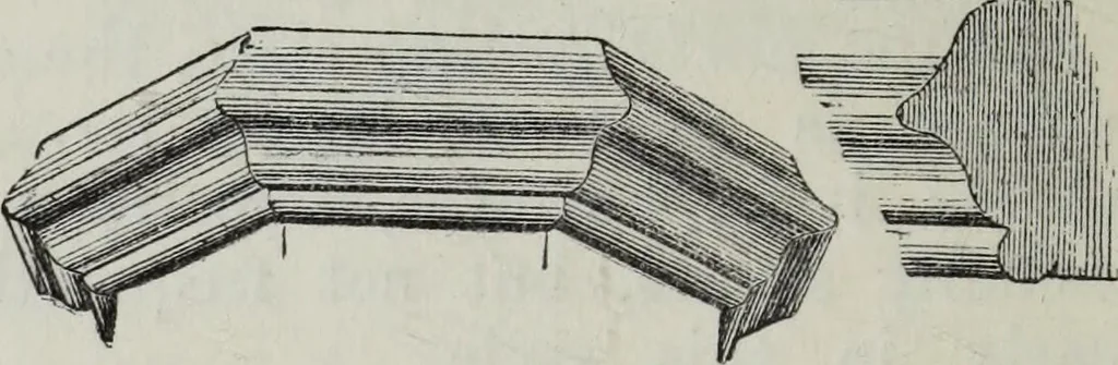 An illustration from A concise glossary of terms used in Grecian, Roman, Italian, and Gothic architecture, 1879, leaf 13