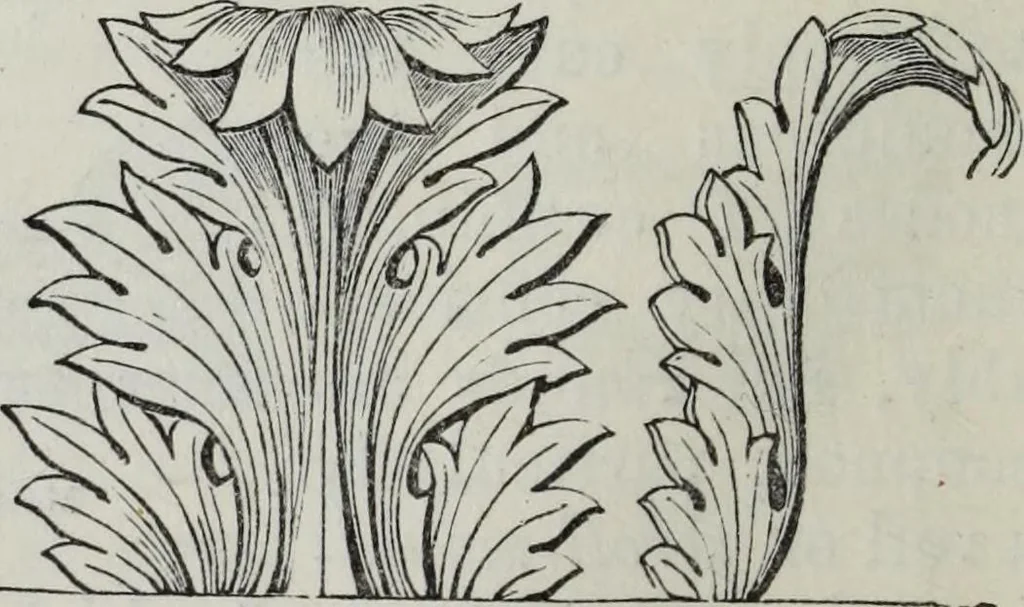 An illustration from A concise glossary of terms used in Grecian, Roman, Italian, and Gothic architecture, 1879, leaf 13