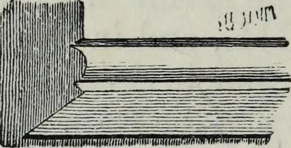 An illustration from A concise glossary of terms used in Grecian, Roman, Italian, and Gothic architecture, 1879, leaf 171