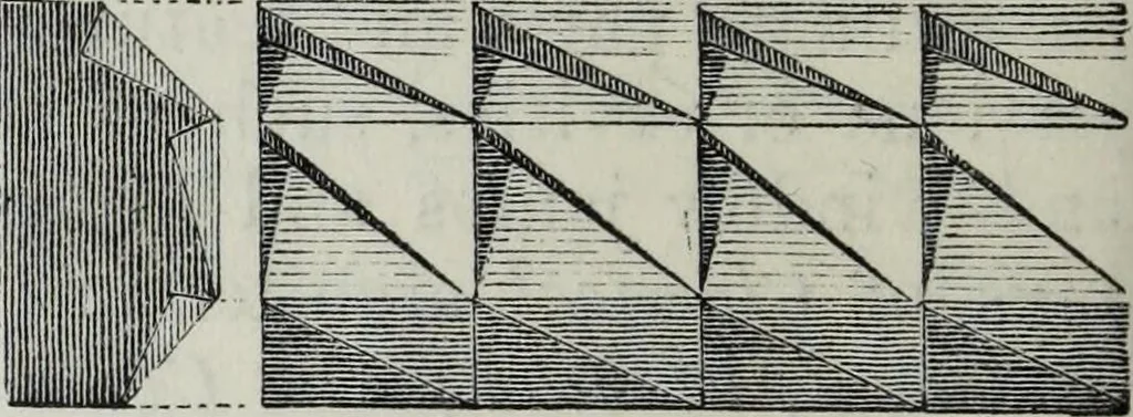 An illustration from A concise glossary of terms used in Grecian, Roman, Italian, and Gothic architecture, 1879, leaf 171
