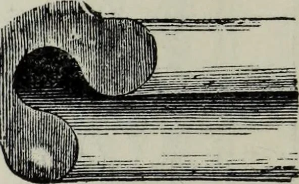 An illustration from A concise glossary of terms used in Grecian, Roman, Italian, and Gothic architecture, 1879, leaf 173