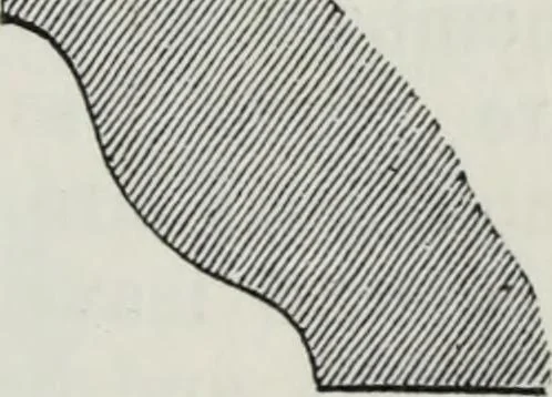An illustration from A concise glossary of terms used in Grecian, Roman, Italian, and Gothic architecture, 1879, leaf 174