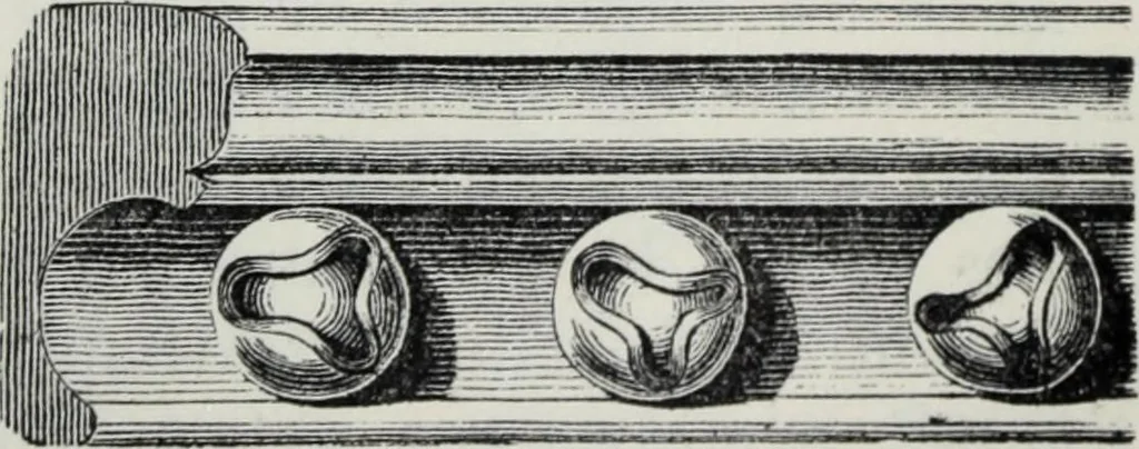 An illustration from A concise glossary of terms used in Grecian, Roman, Italian, and Gothic architecture, 1879, leaf 174