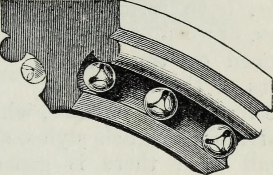 An illustration from A concise glossary of terms used in Grecian, Roman, Italian, and Gothic architecture, 1879, leaf 232