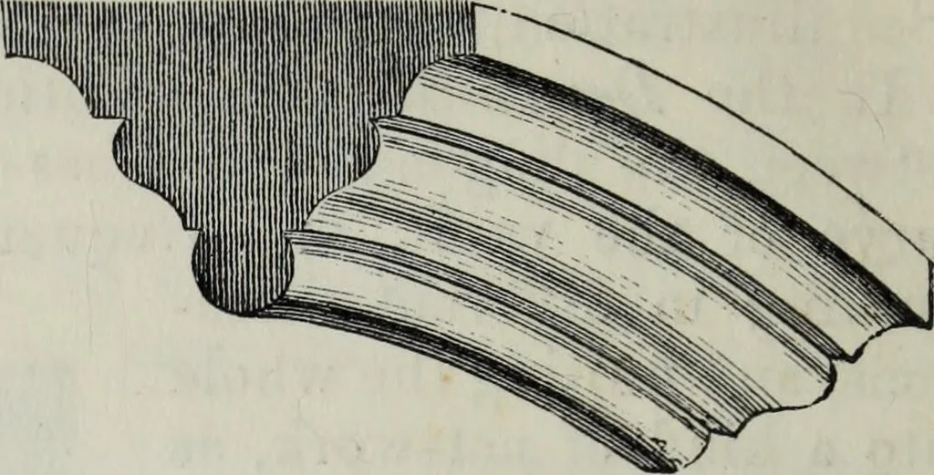 An illustration from A concise glossary of terms used in Grecian, Roman, Italian, and Gothic architecture, 1879, leaf 233