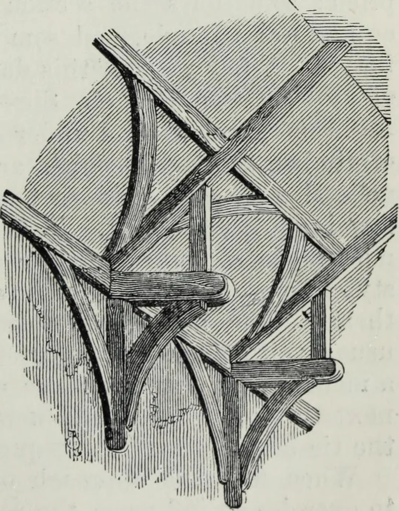 An illustration from A concise glossary of terms used in Grecian, Roman, Italian, and Gothic architecture, 1879, leaf 242