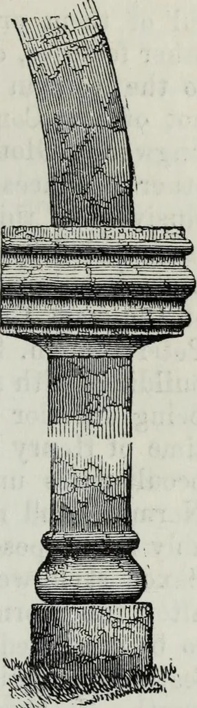 An illustration from A concise glossary of terms used in Grecian, Roman, Italian, and Gothic architecture, 1879, leaf 254